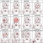 Pixiv Expression Meme 5CD